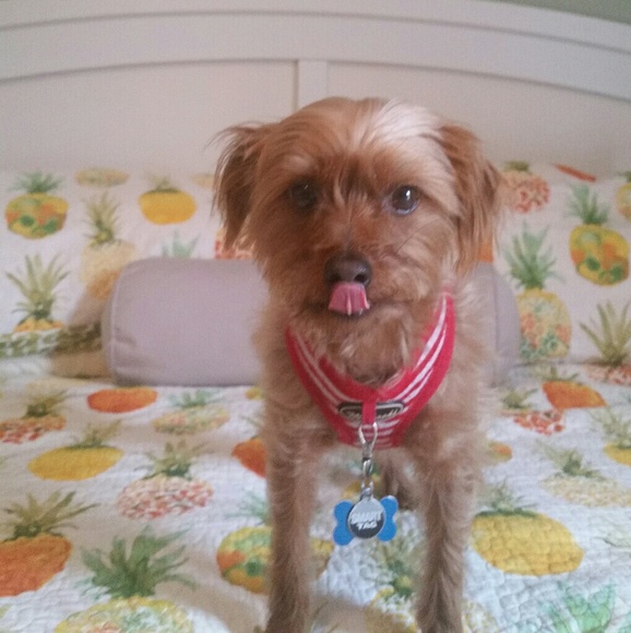 Meet your Posher, Steve - Picture 7 of 7